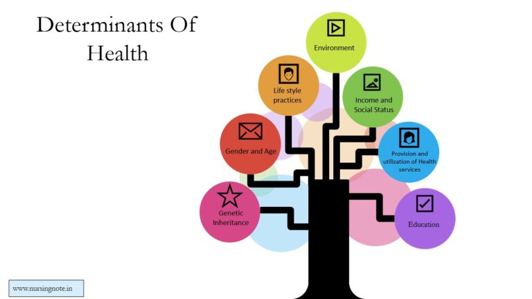 Tree diagram of health determinants.