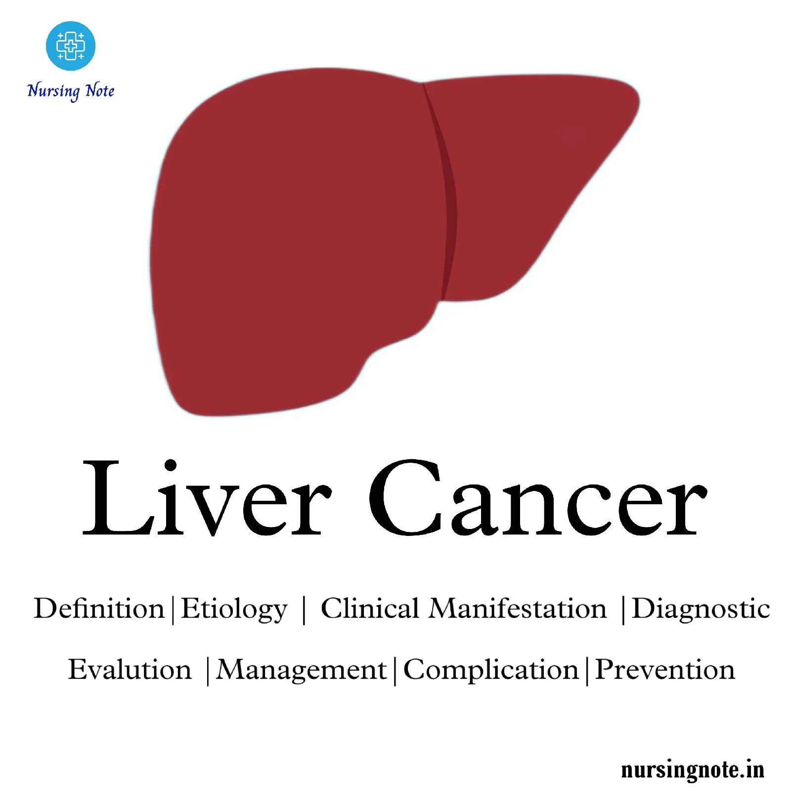 Illustration of liver cancer information
